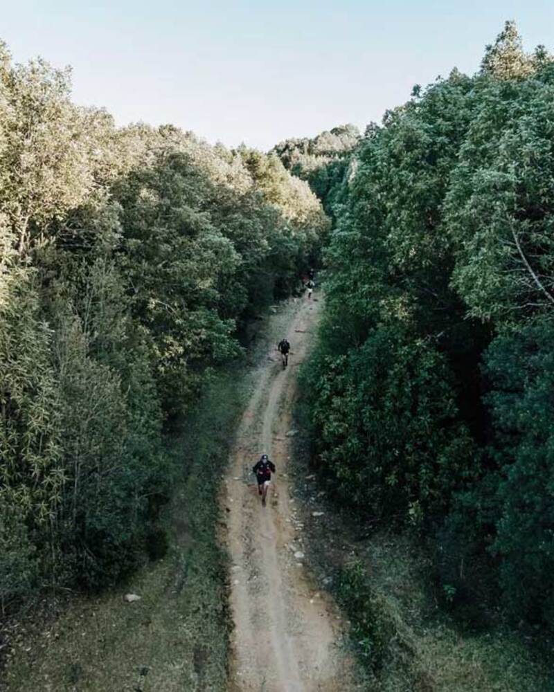 Valdivia: Nuevo destino de IRONMAN y UTMB en Chile para el Triatlón y el Trail Running