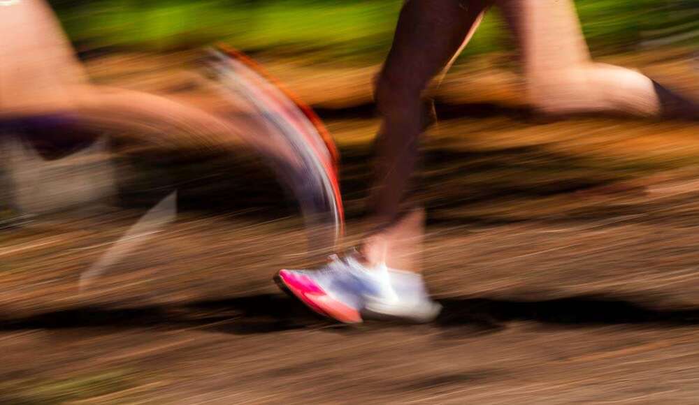 El Tiempo: El mejor lujo para vivir saludable y con energía