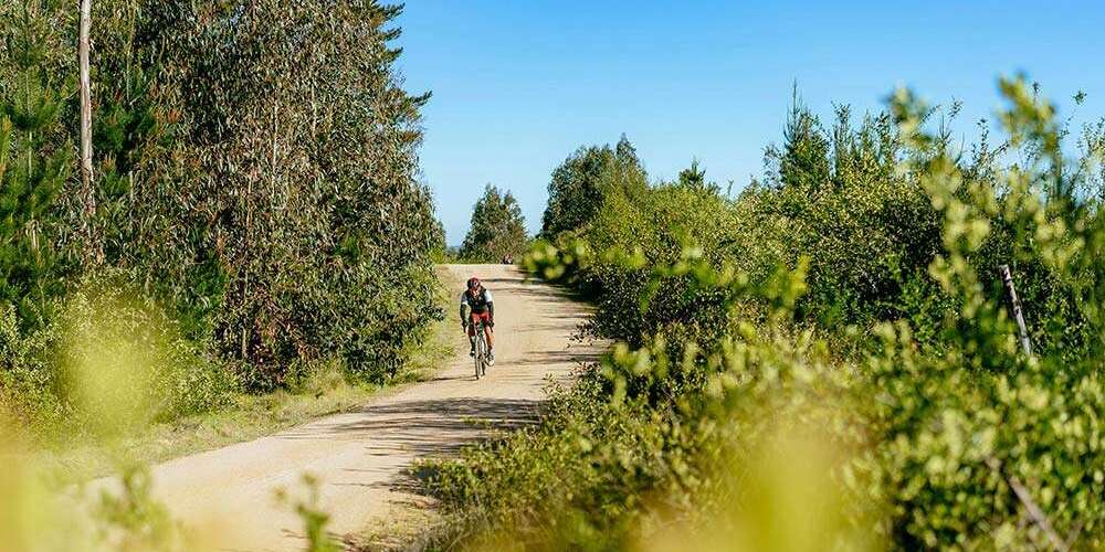 Saga Gravel Race