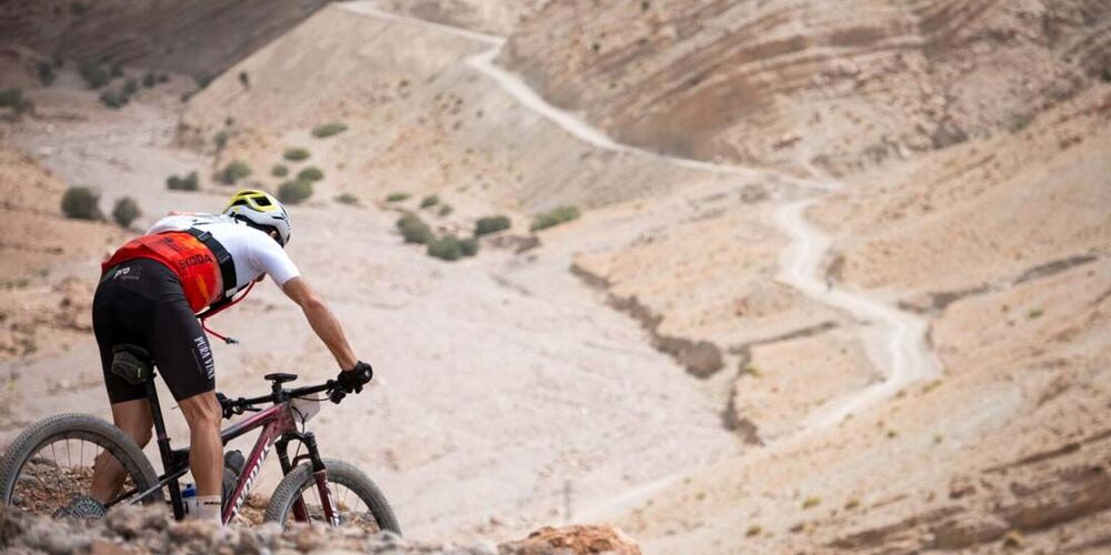 Titan Forest Patagonia