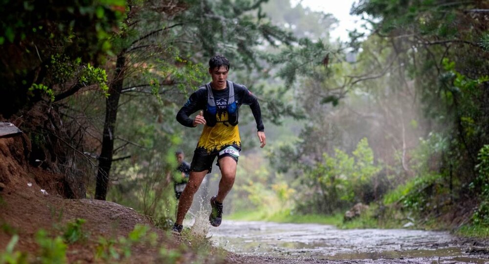 Junquillar Ultra Extremo