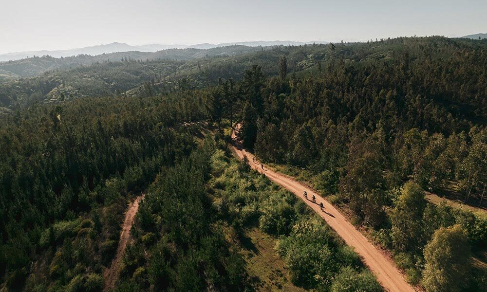 Saga Gravel Race