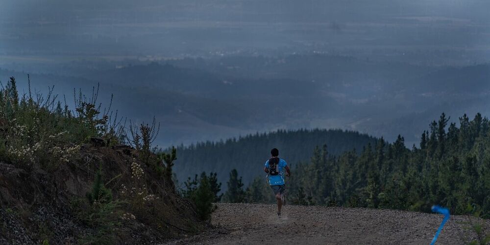 Nahuelbuta All In CMPC