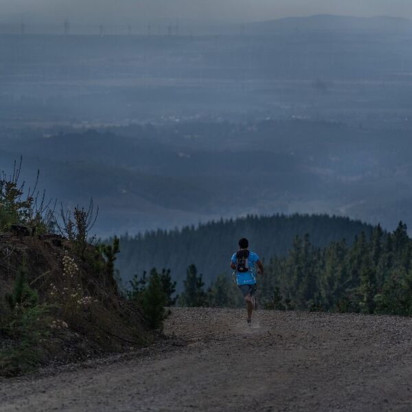 Nahuelbuta All In CMPC