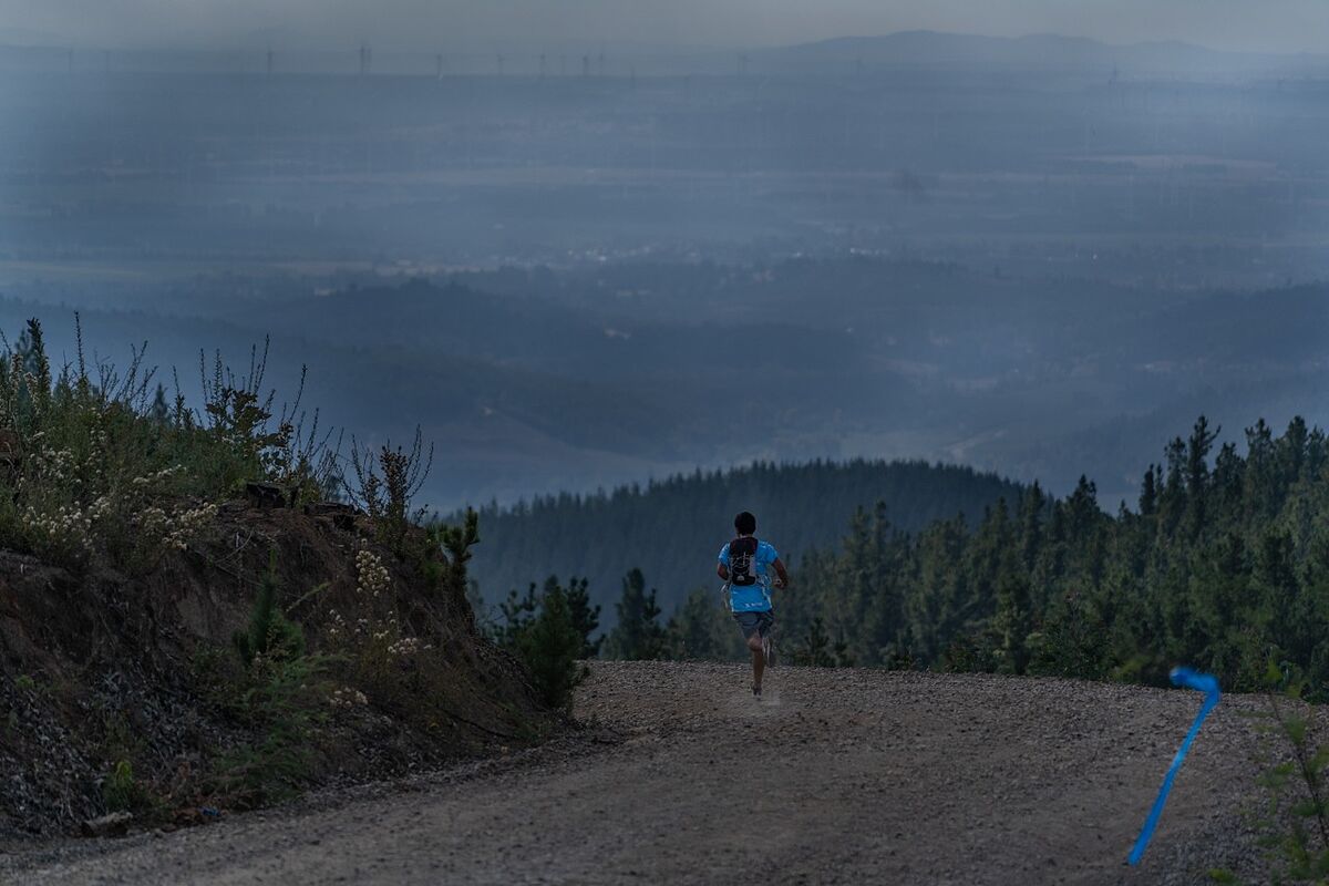 Nahuelbuta All In CMPC