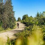 Calendario Gravel Chile 2026: el año en que el gravel dejó de ser nicho